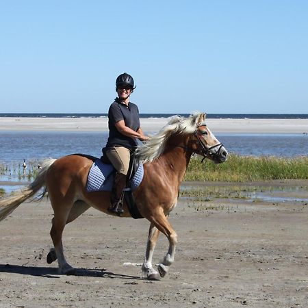 Naar Zee Op Ameland Бурен Екстериор снимка