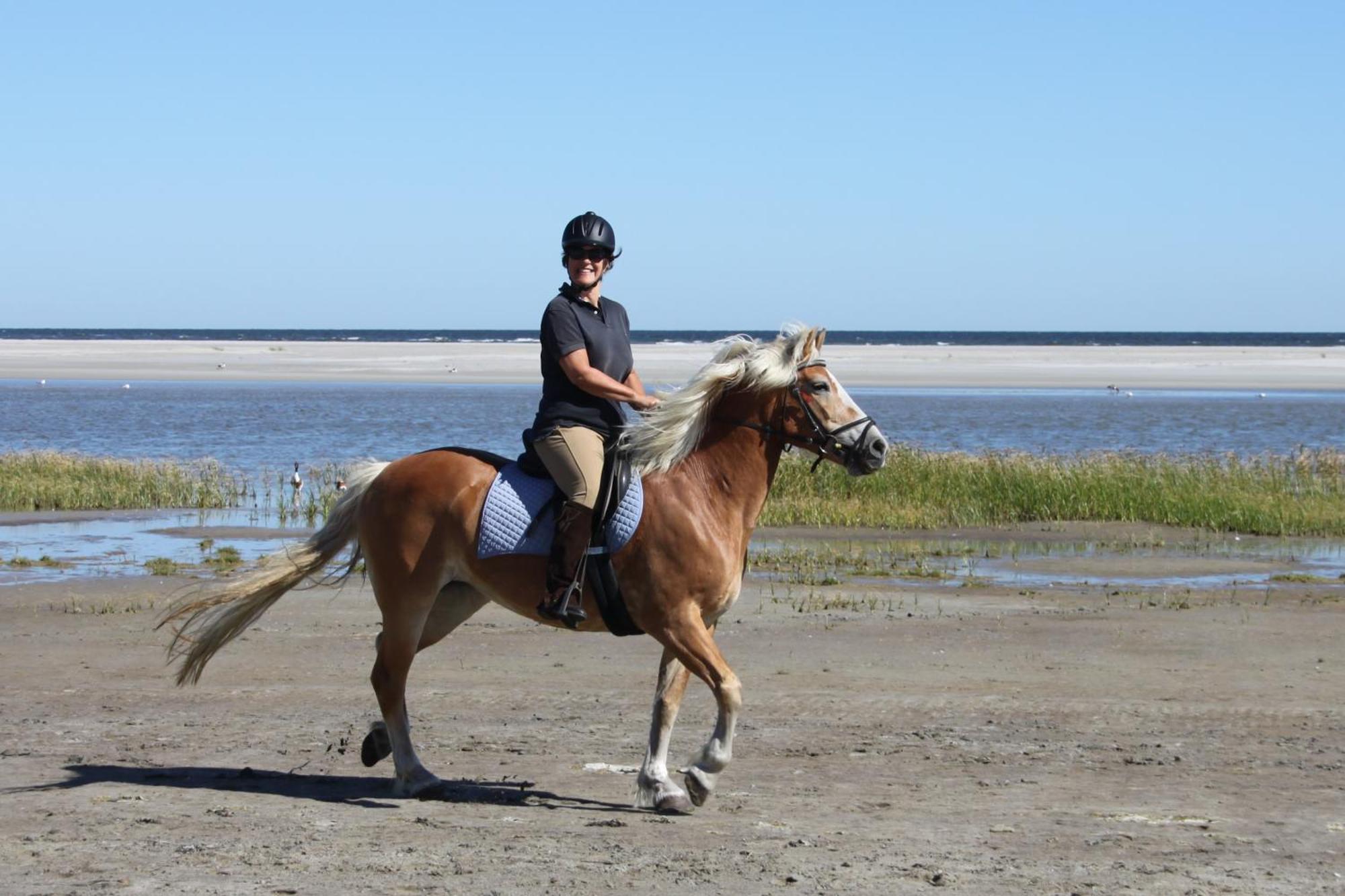 Naar Zee Op Ameland Бурен Екстериор снимка
